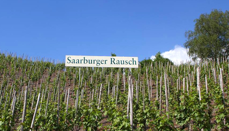 認識德國酒第一站-Saarburger Rausch