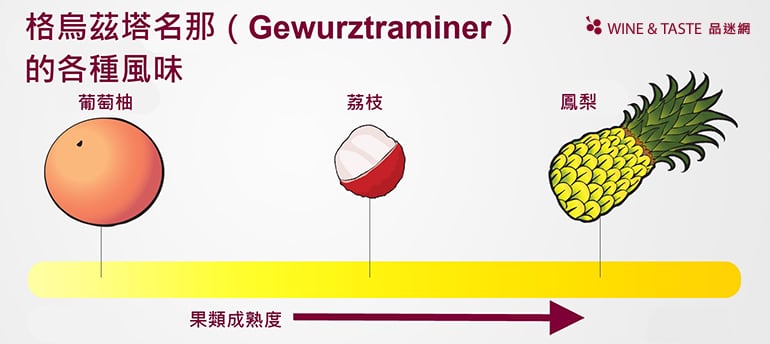 最適合亞洲菜的白酒？ - 輕鬆喝懂葡萄品種- Gewurztraminer