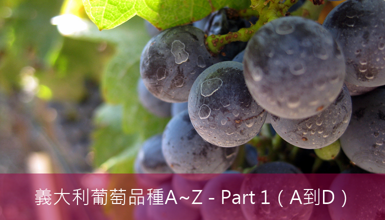 義大利葡萄品種 A 到 Z （Part 1）