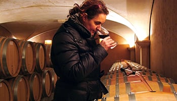 釀酒師心中的南法風光- 酒款故事與葡萄品種