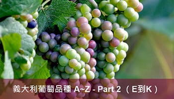 義大利葡萄品種 A 到 Z （Part 2）