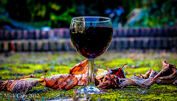 【葡萄酒知識】從葡萄到葡萄美酒（一）- 葡萄酒栽種過程