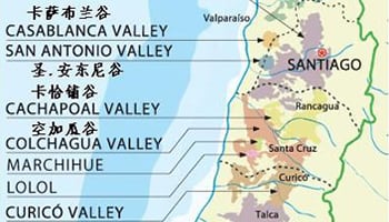【產區介紹】物美價廉的新世界葡萄酒產區，智利（Chile）