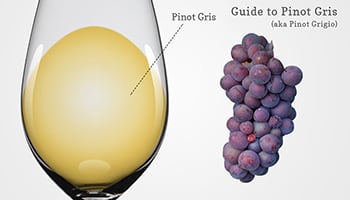 【葡萄品種】沙拉與海鮮的良伴 - 灰皮諾（Pinot Gris/Pinot Grigio）
