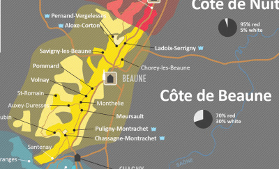 五分鐘了解世界葡萄酒產區 - 法國勃根地 (下)